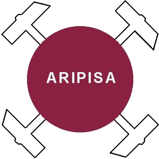 Aripisa